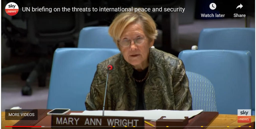 Ann Wright UN Security Council